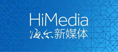 你不知道的海尔 Ⅱ 网上新媒体服务