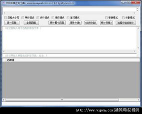 天网中国正则工具官方版 一款轻量高效的计算机软件开发利器